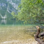 Bohinjsko jezero